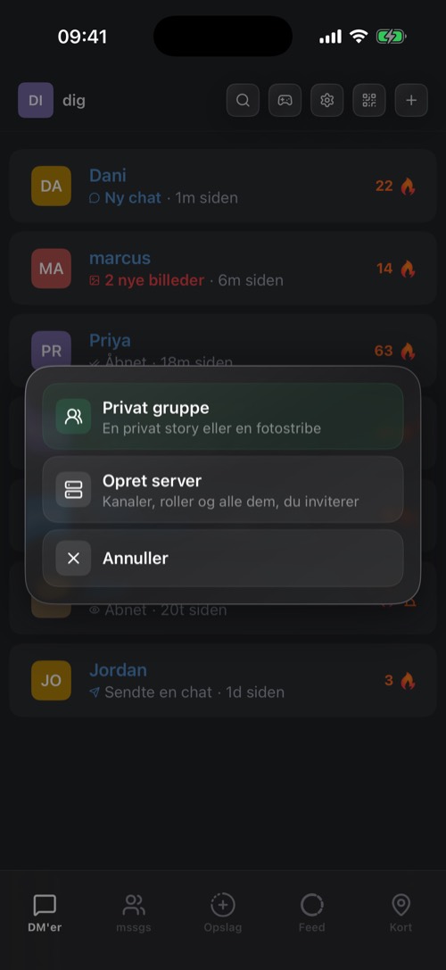 Menuen til at oprette med Privat gruppe, Opret server og Annuller