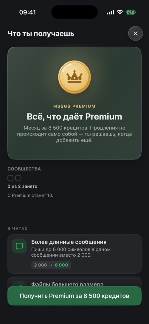 Экран «Что ты получаешь» с описанием Premium