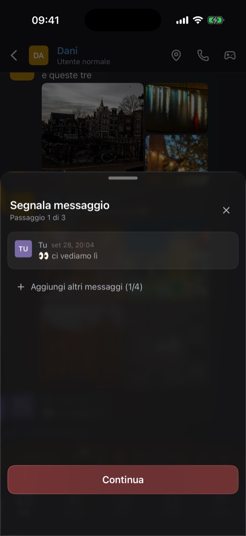 Il pannello Segnala messaggio con il messaggio da segnalare